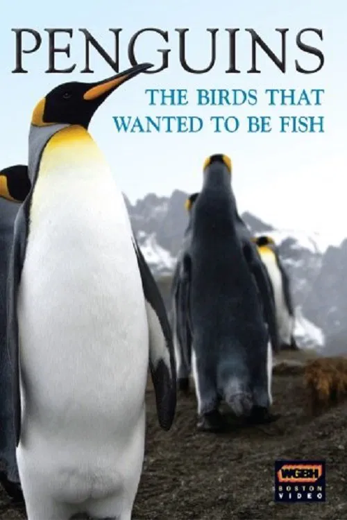 Penguins: The Story of the Bird that wanted to be Fish poster