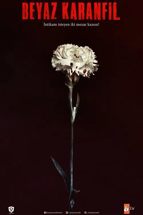 Beyaz Karanfil poster