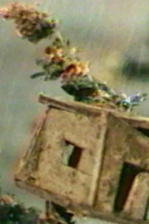 The Hundred Videos #4 poster