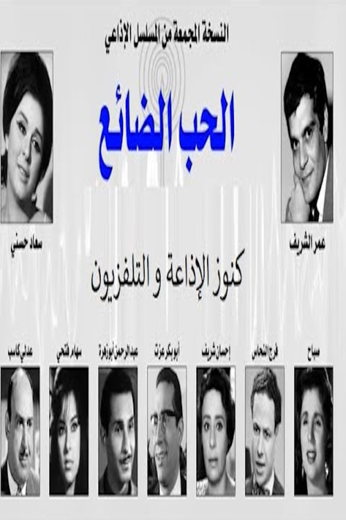 الحب الضائع poster