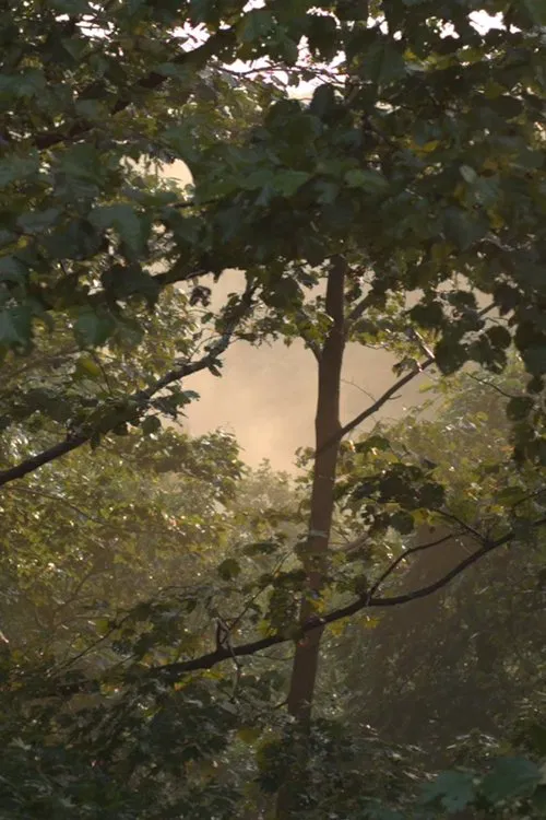 After Us The Deluge poster