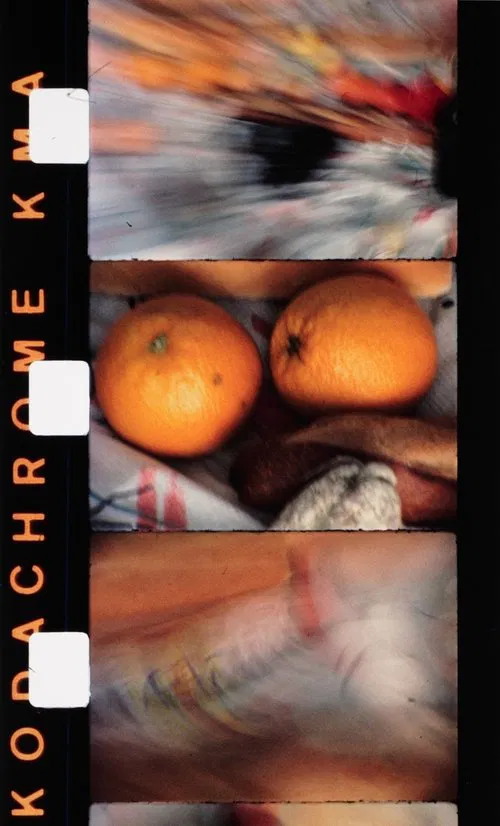 Une partie de campagne poster