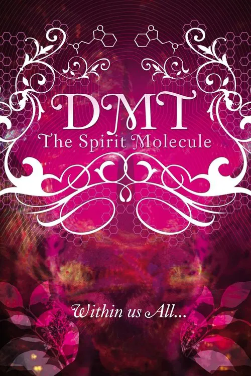 DMT: The Spirit Molecule poster