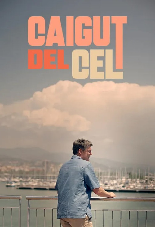 Caigut del cel poster
