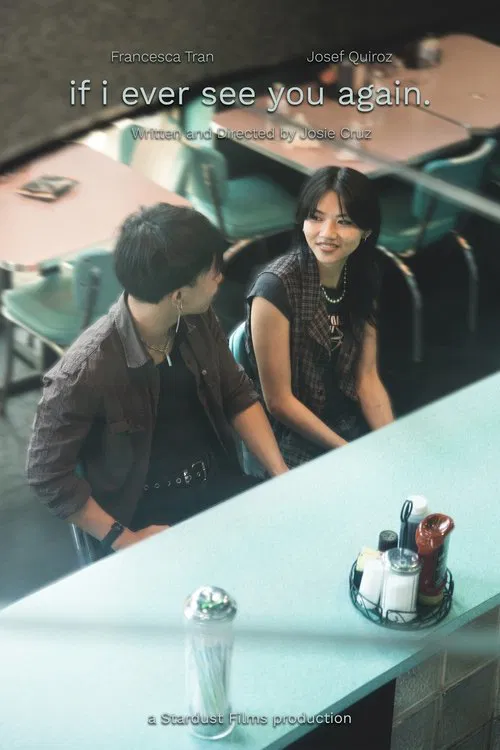 if i ever see you again. poster