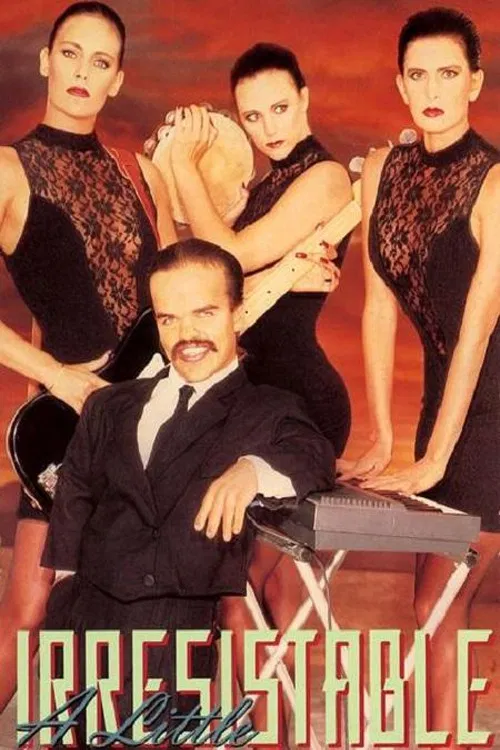 A Little Irresistible poster