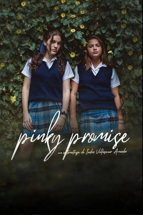 Pinky Promise poster