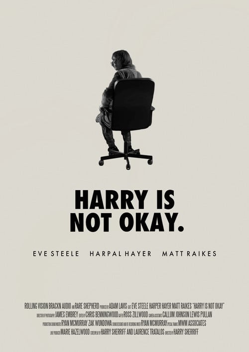Harry Is Not Okay poster