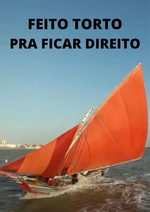 Feito Torto pra Ficar Direito poster