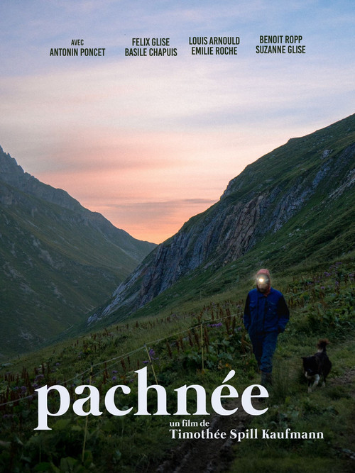 Pachnée poster