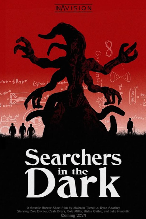 Searchers in the Dark poster