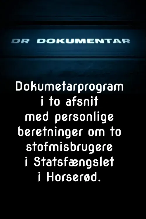 Pigerne i Horserød poster
