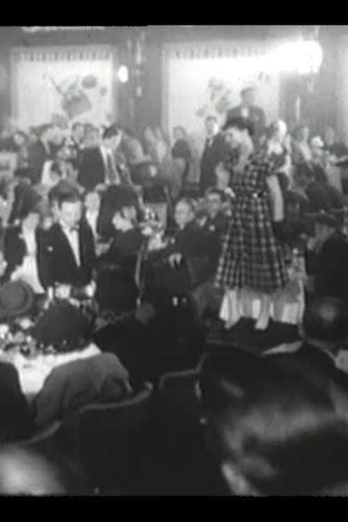 Modeopvisning - Kjoler poster