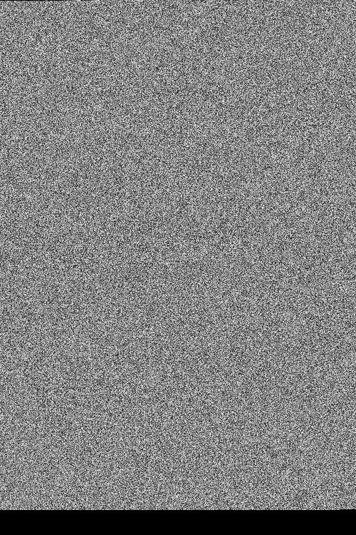 Bruno Guillain profile