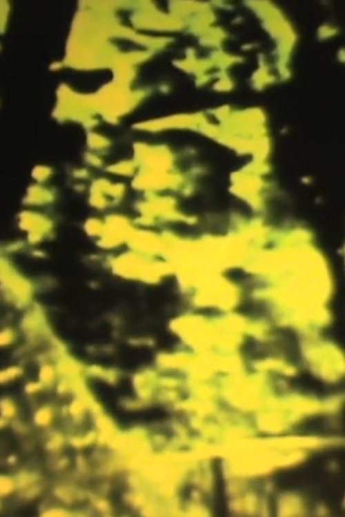 A Castle Built Upside Down poster