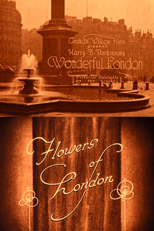 Wonderful London: Flowers of London poster