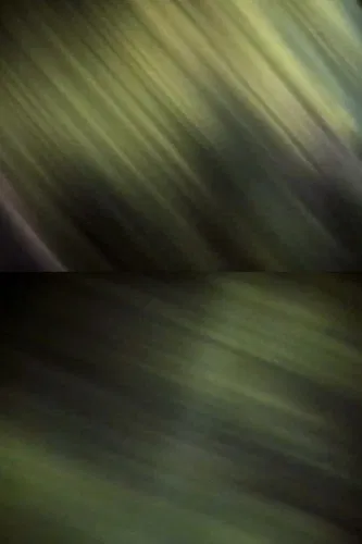 E lei si scordò poster