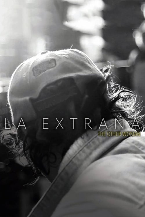 The Other Woman poster