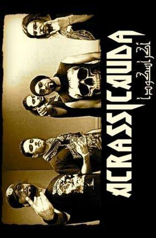 Heavy Metal in Istanbul poster