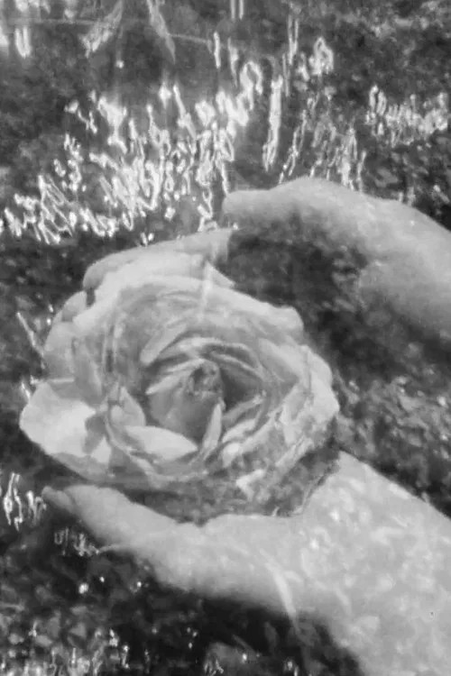 Moccasin Flowers poster