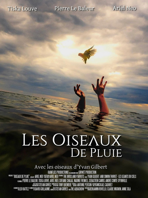 Les Oiseaux de pluie poster