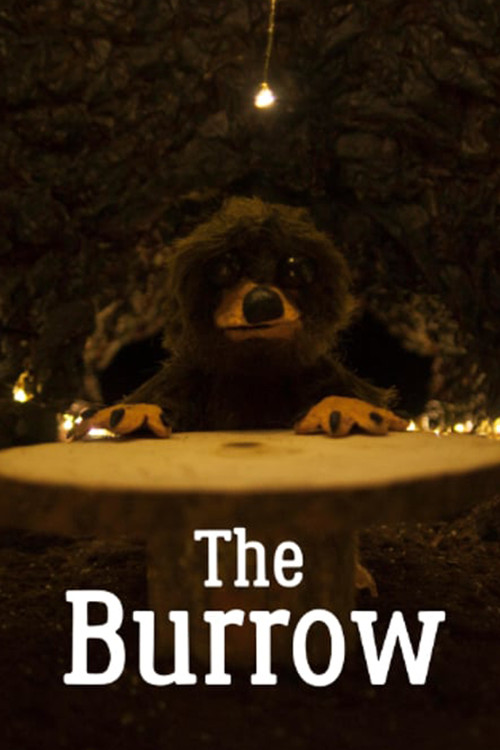The Burrow poster