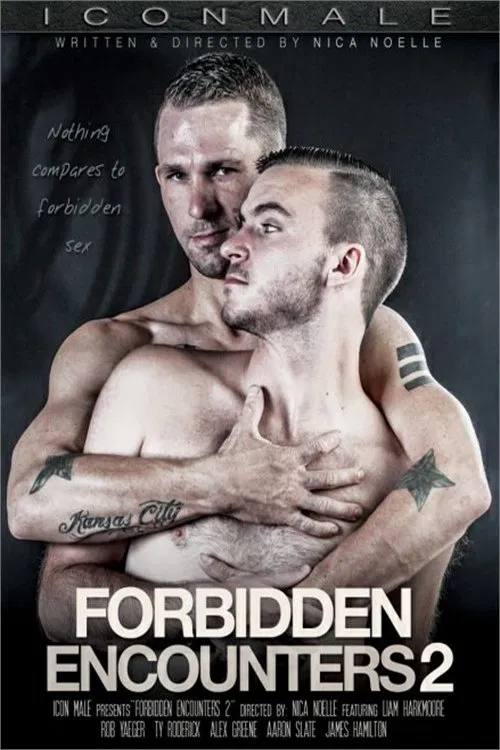 Forbidden Encounters 2 poster