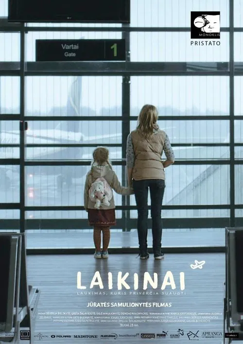 Laikinai poster