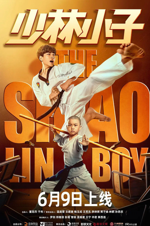 The Shaolin Boy poster