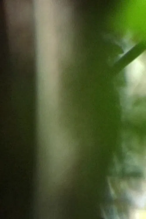 Inhabit, receive, resist poster