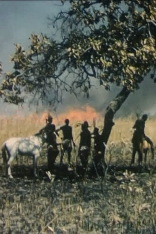 Chefs de terre poster