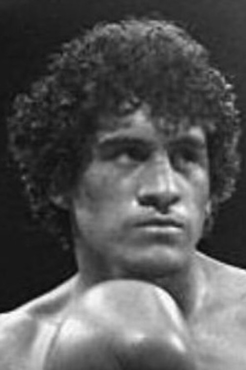 Salvador Sánchez profile