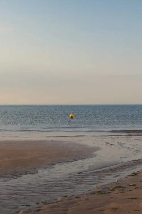 albion, refreshed poster