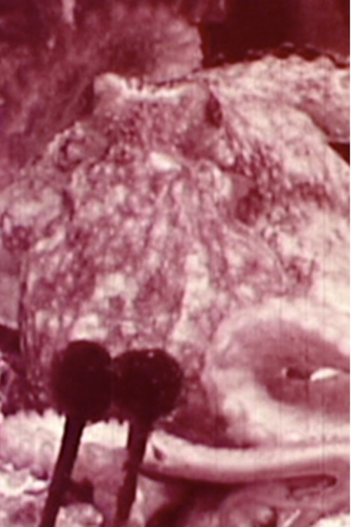 Aurora Borealis poster