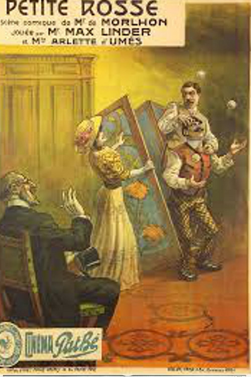 The Little Vixen poster