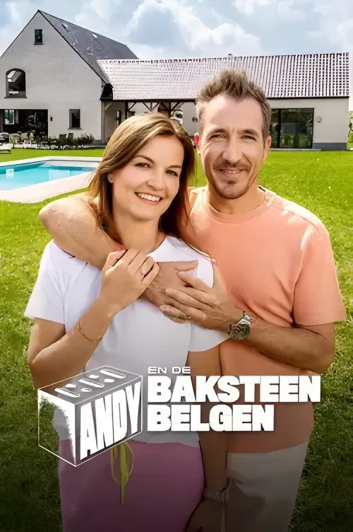Andy en de Baksteen Belgen poster