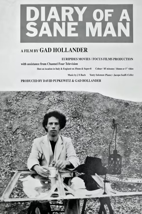 Diary of a Sane Man poster