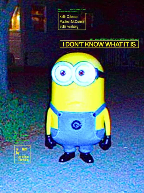 I Don't Know What It Is poster
