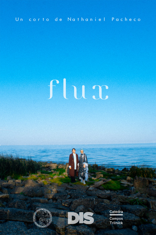 Flux poster