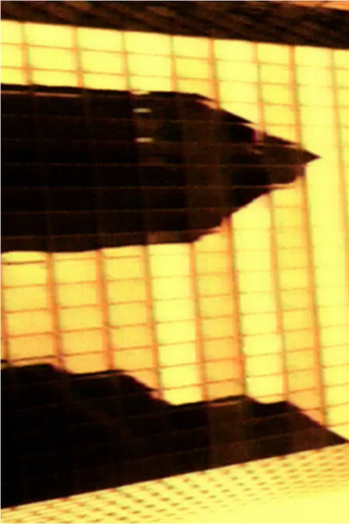 Commission Stratégie à 3 Ans poster