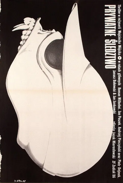 Private investigation poster