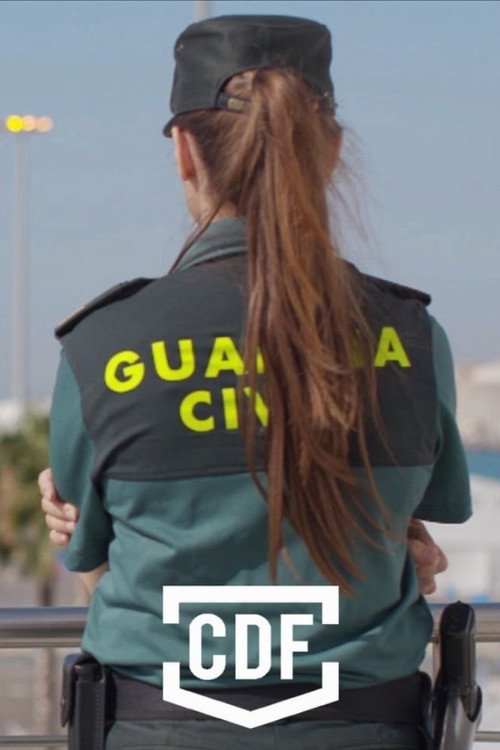 Border Control: Spain poster
