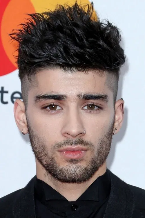 Zayn Malik profile