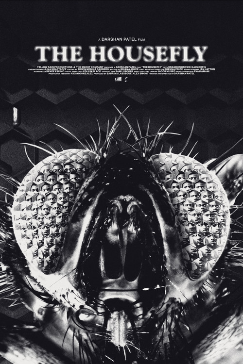The Housefly poster