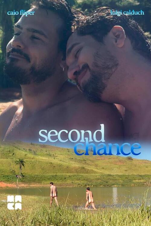 Second Chance poster