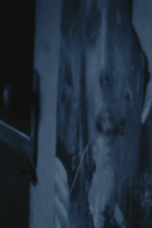 Bachelor Apartment poster