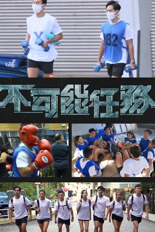 Profession Impossible poster