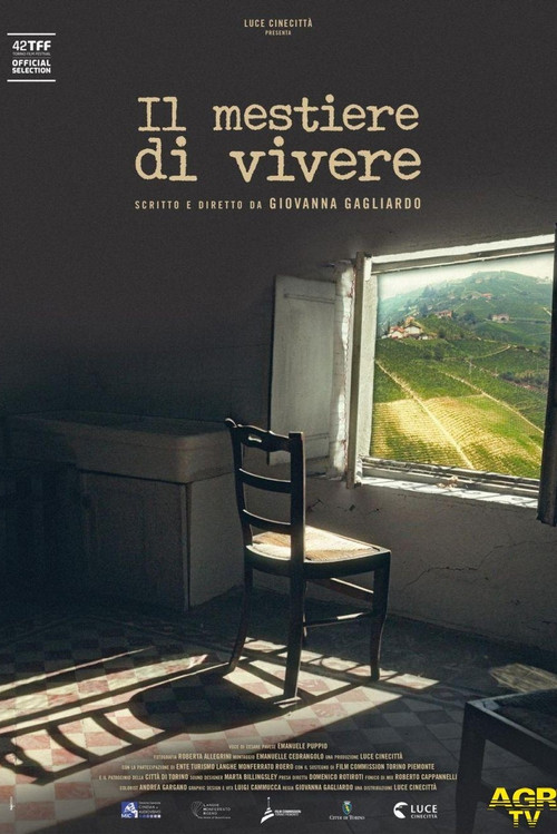 Il mestiere di vivere poster