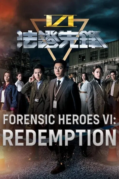 Forensic Heroes VI poster