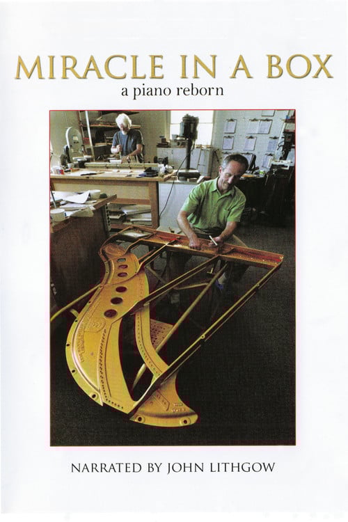 Miracle in a Box: A Piano Reborn poster
